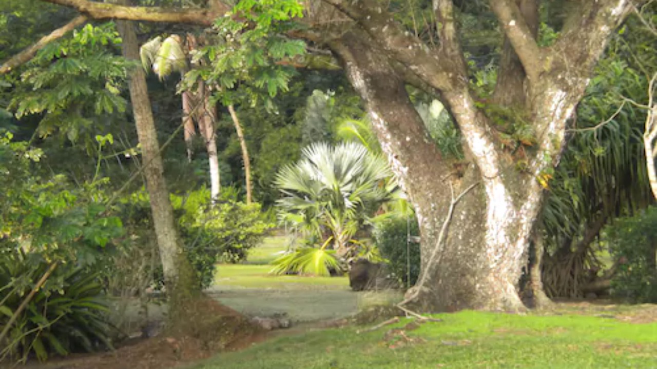 Photo of Outdoor in Opoa