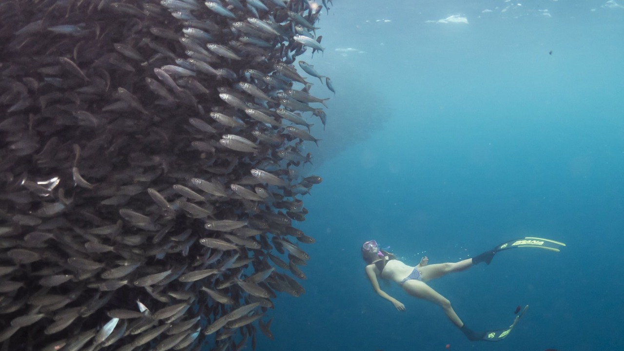 Photo of Others in Malolo Island