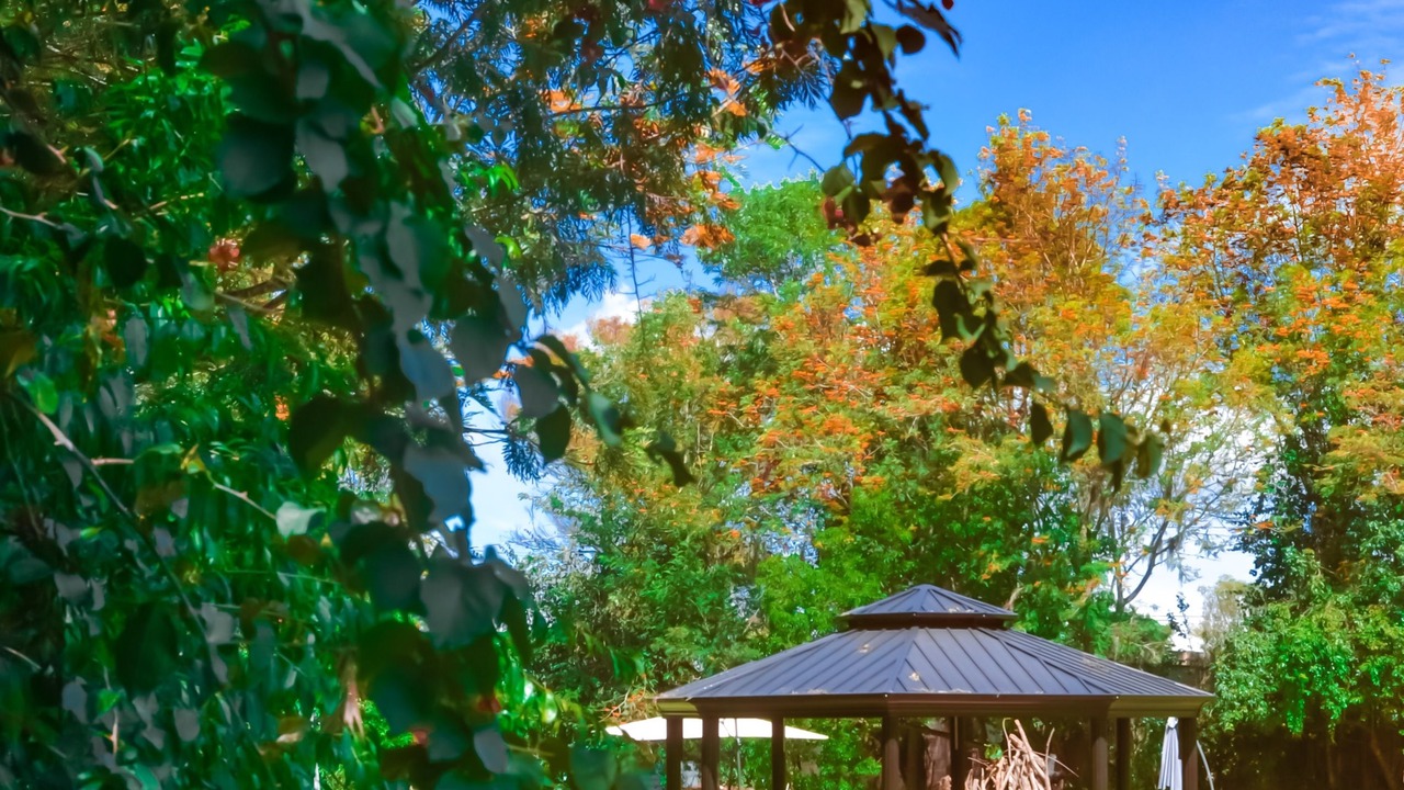 Photo of Outdoor in Constanza