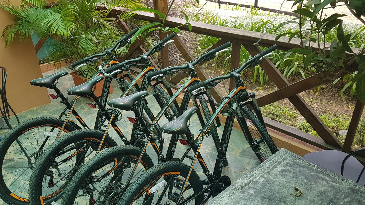 Photo of Outdoor in Constanza