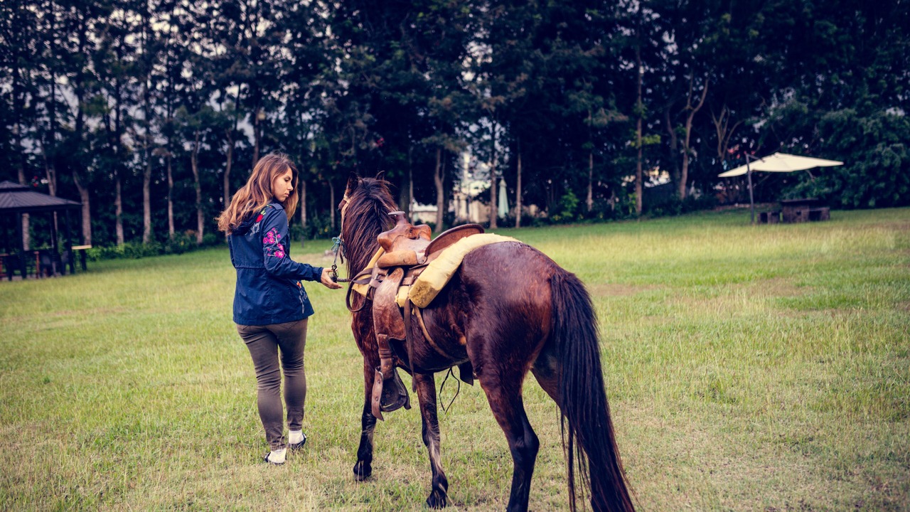 Photo of Outdoor in Constanza