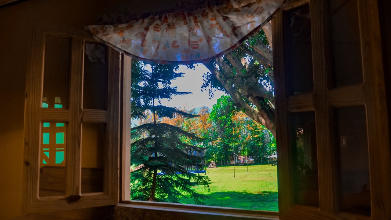 Photo of Bedroom in Constanza