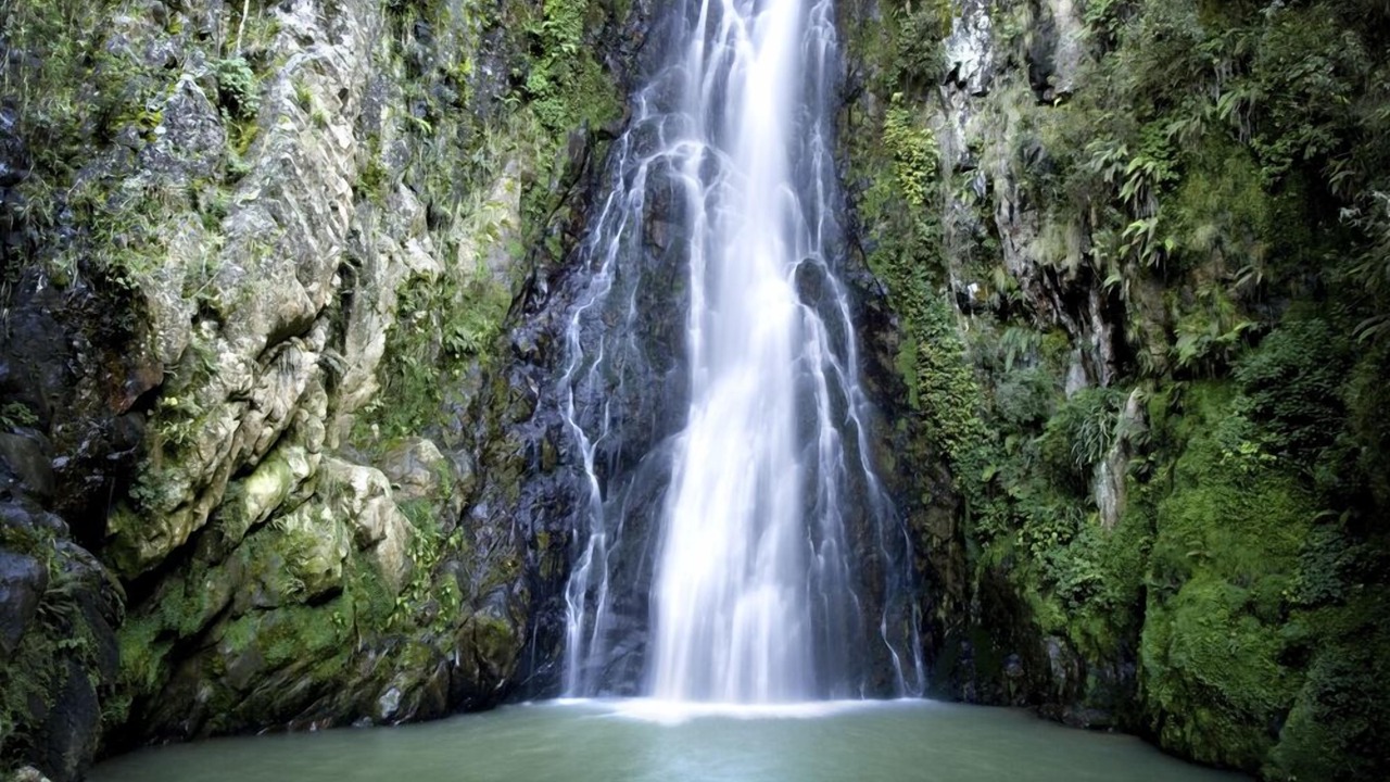 Photo of Others in Constanza