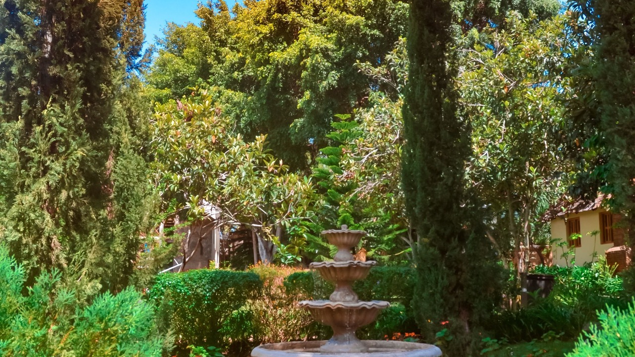 Photo of Outdoor in Constanza