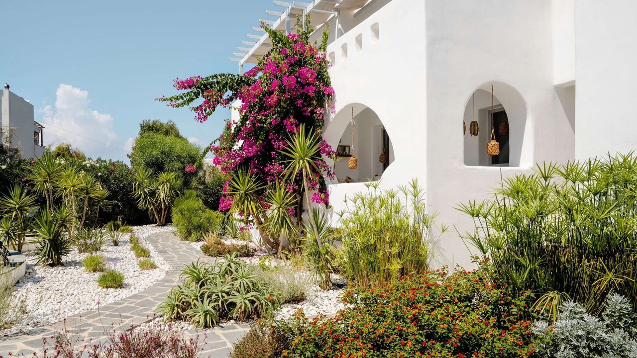 Photo of Outdoor in Stelida