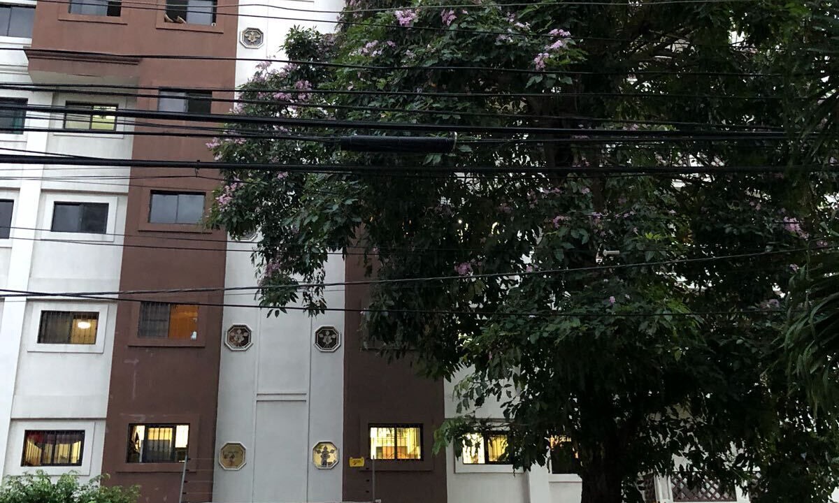 Photo of Outdoor in Gascue