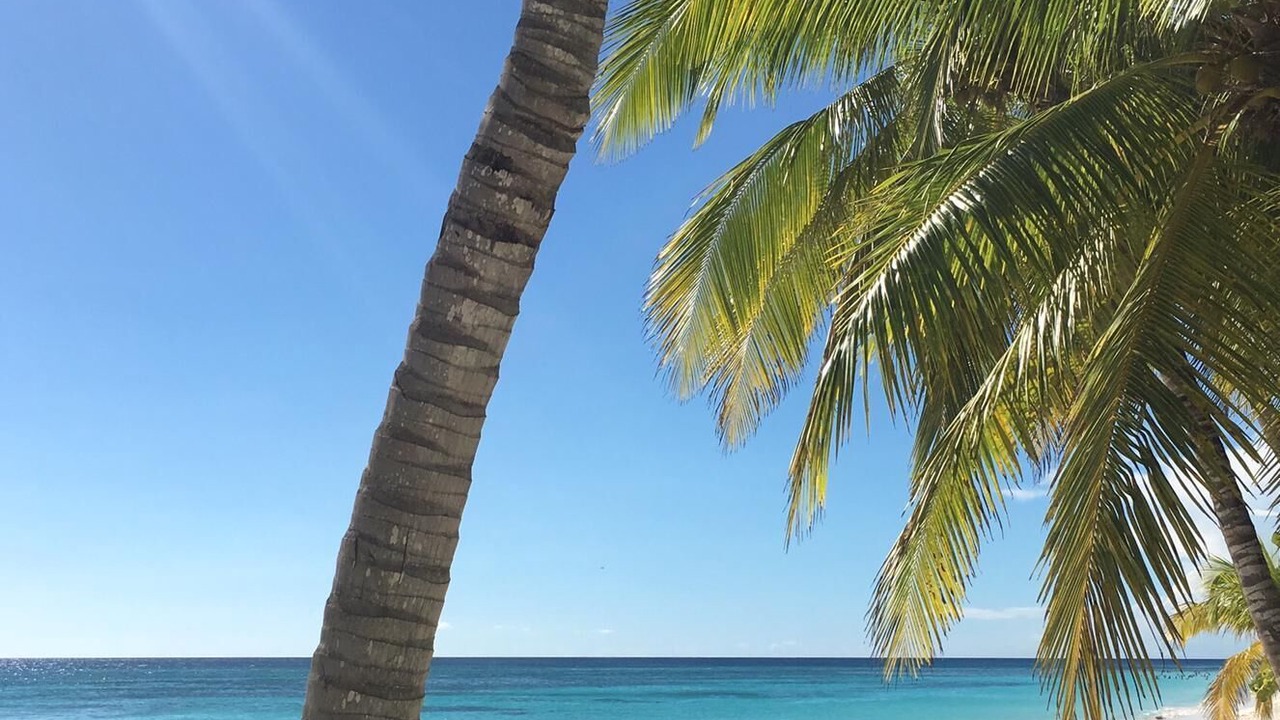 Photo of Others in Dominicus