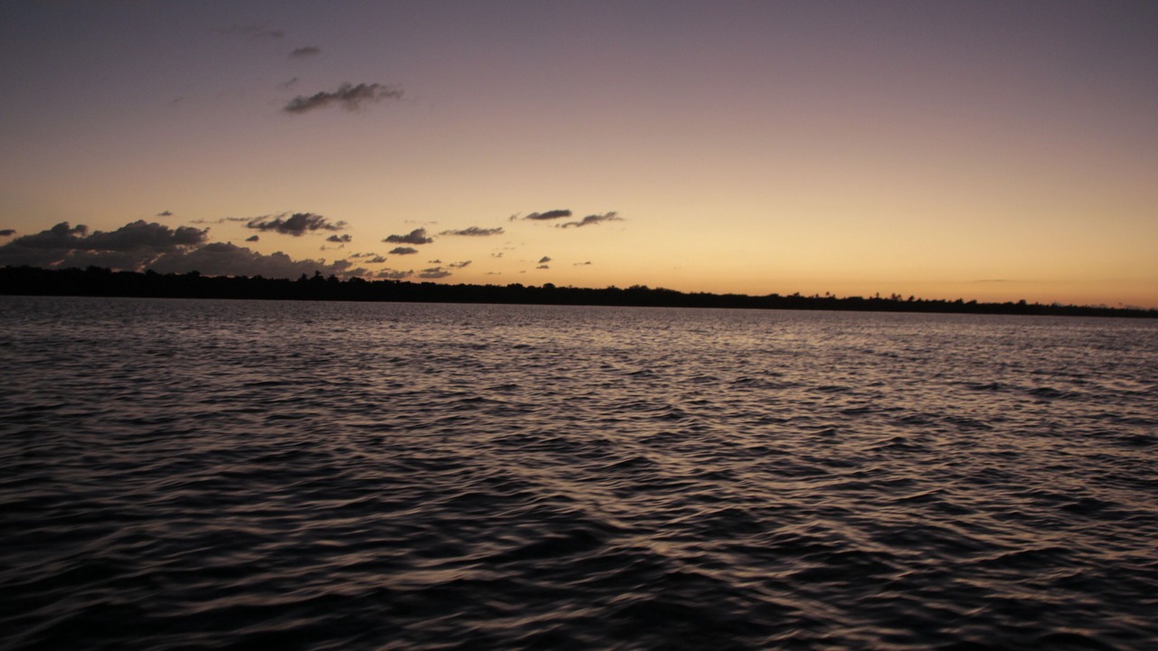 Photo of Others in Dominicus