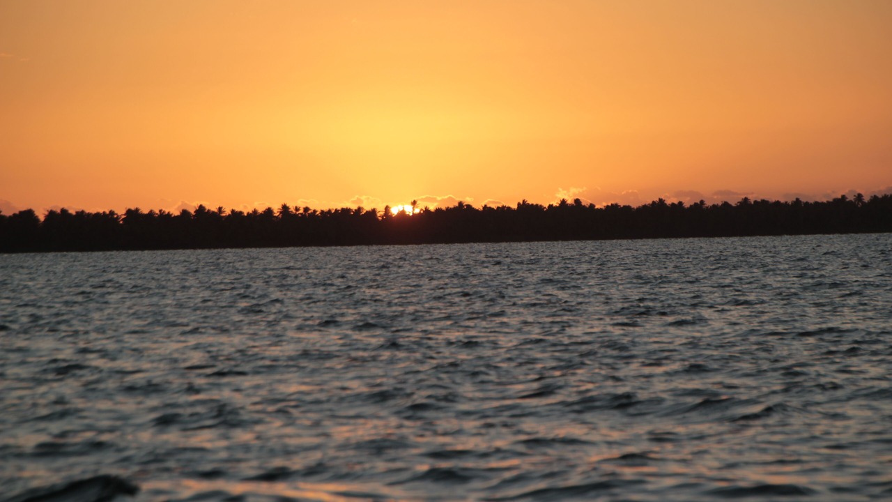 Photo of Others in Dominicus