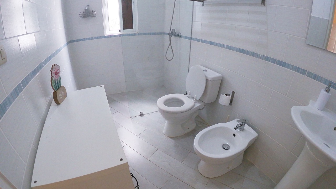 Photo of Bathroom in Dominicus