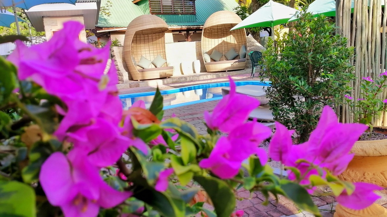 Photo of Outdoor in La Digue