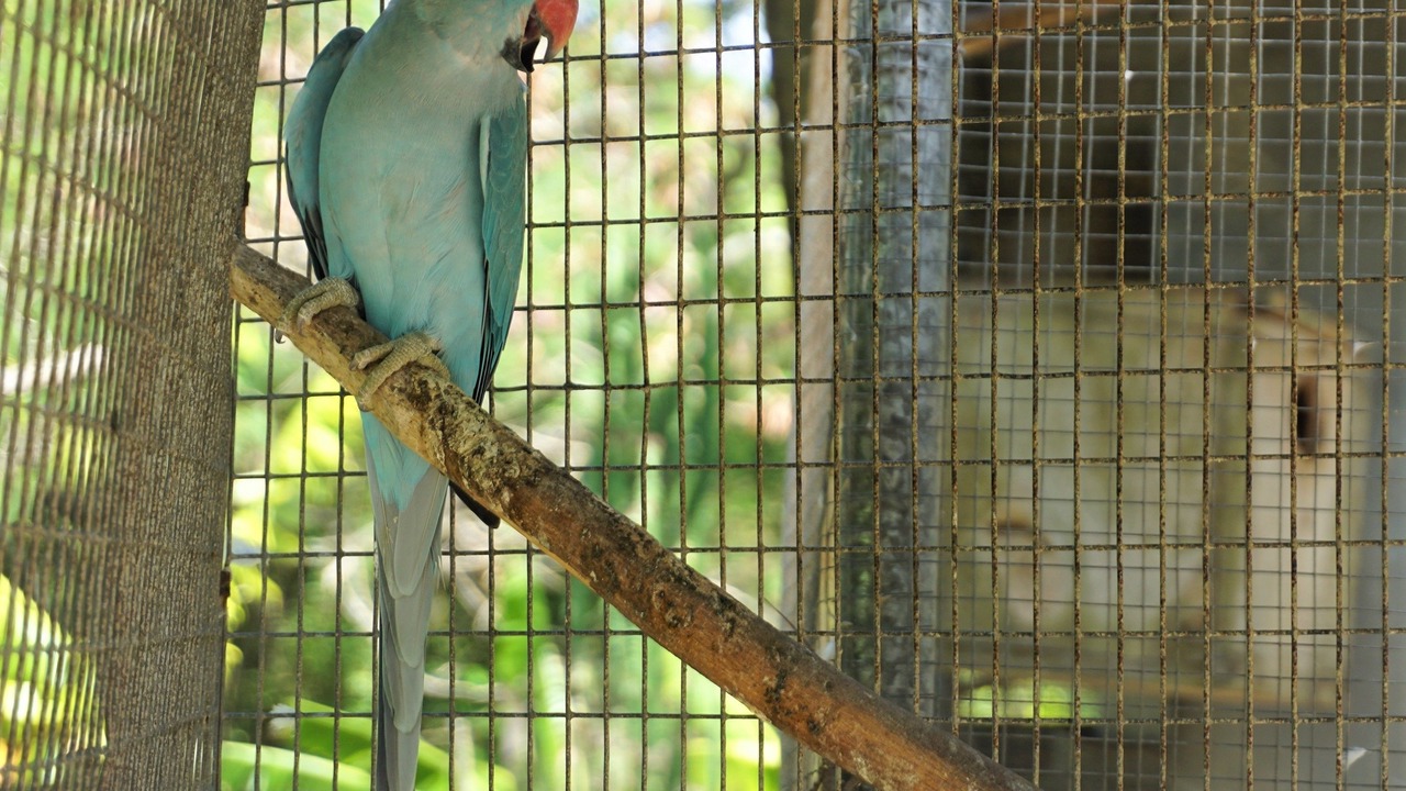 Photo of Others in Sosua
