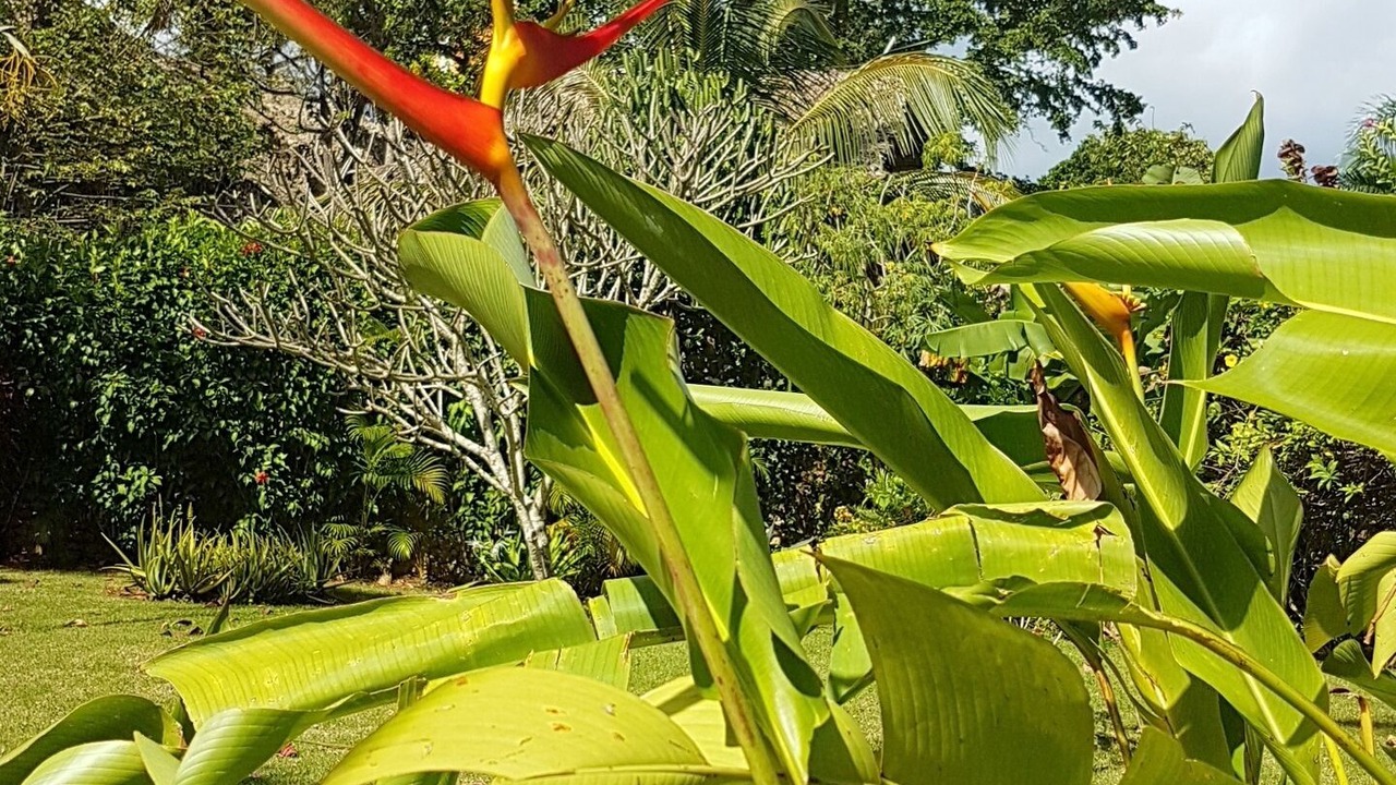 Photo of Outdoor in Las Galeras