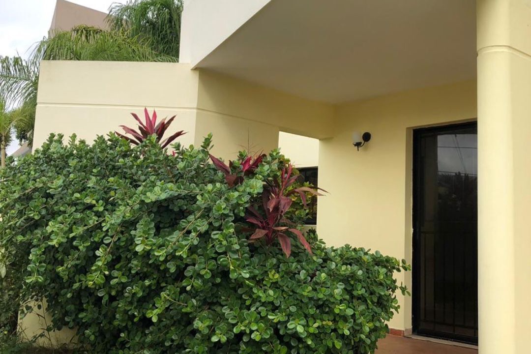 Photo of Outdoor in Bani