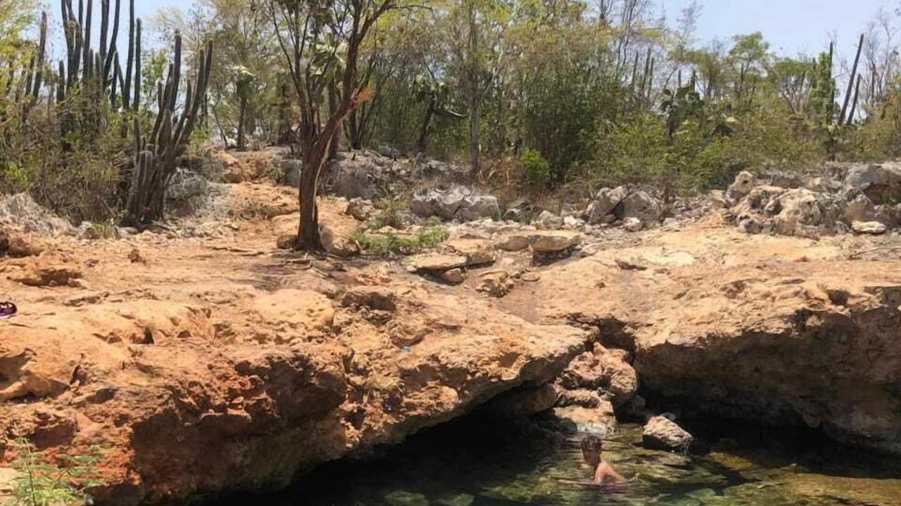 Photo of Outdoor in Pedernales