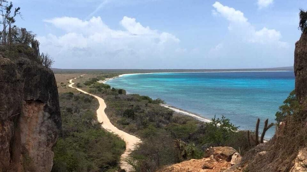 Photo of Others in Pedernales