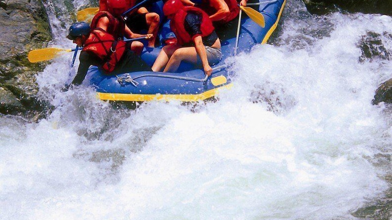 Photo of Others in La Vega
