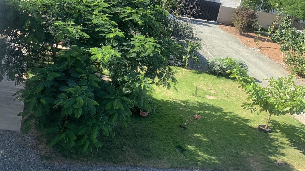 Photo of Patio Balcony in La Vega
