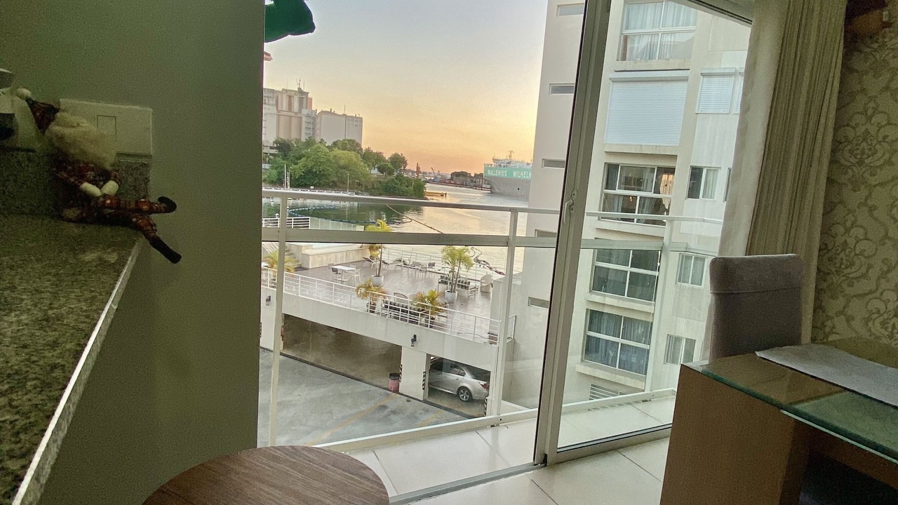 Photo of Livingroom in Santo Domingo