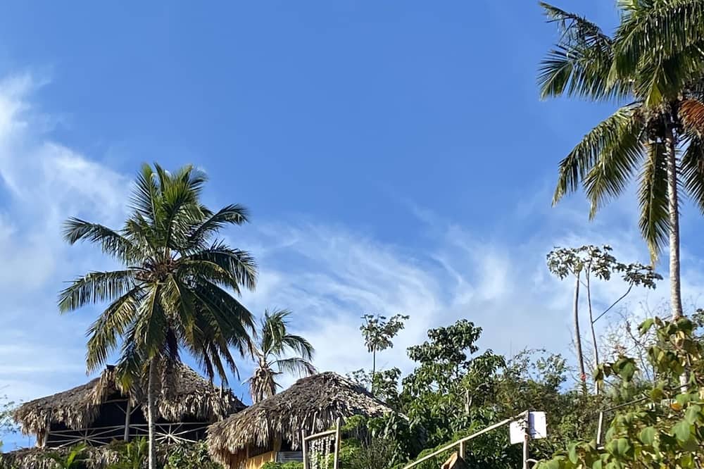 Photo of Outdoor in El Limon