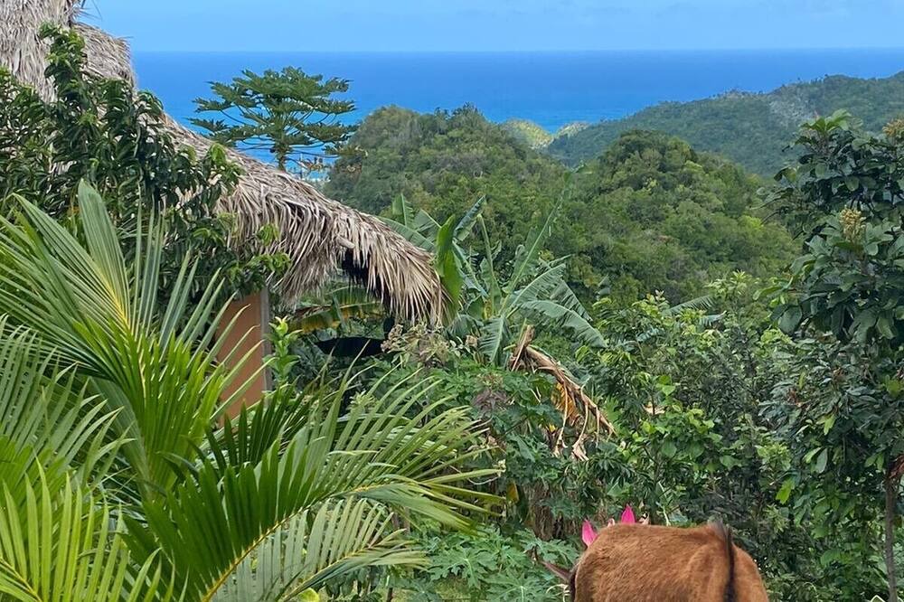 Photo of Outdoor in El Limon