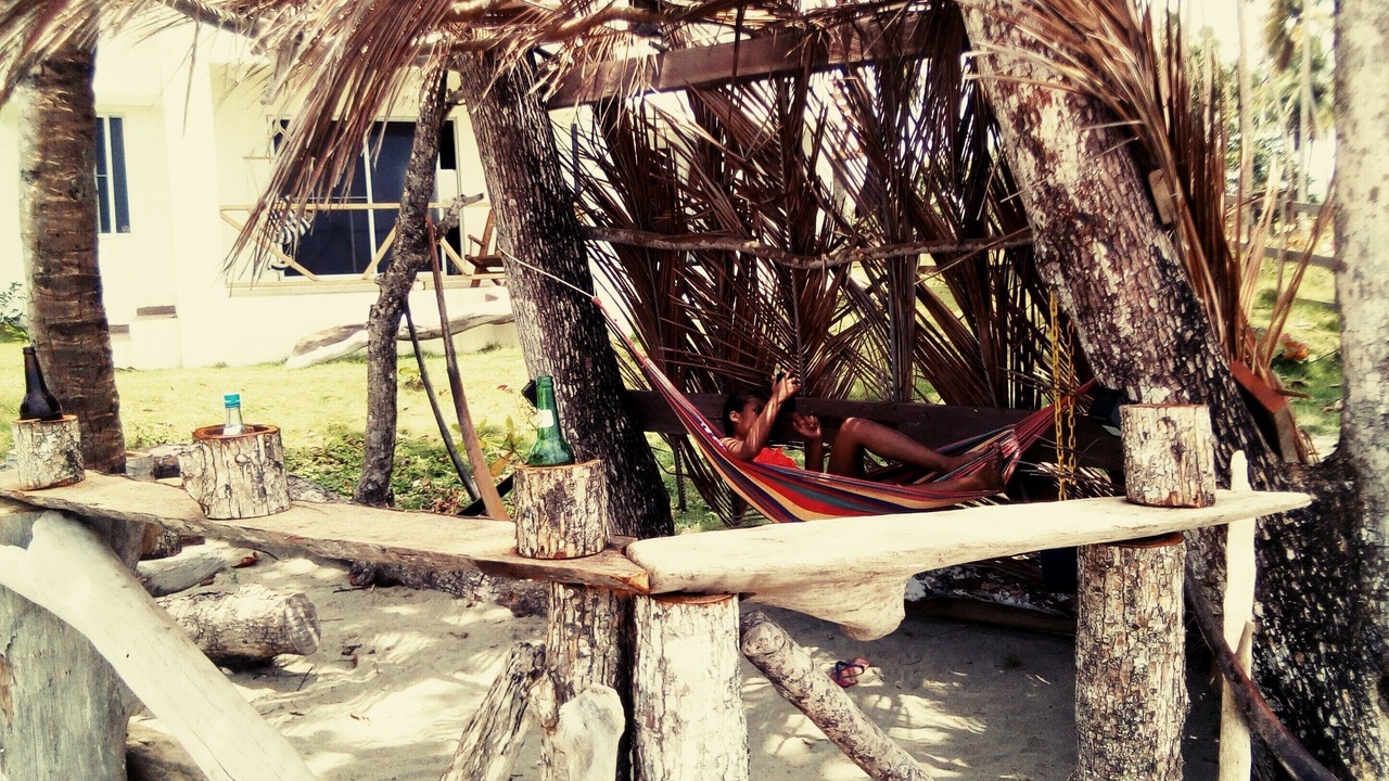 Photo of Others in Las Canas