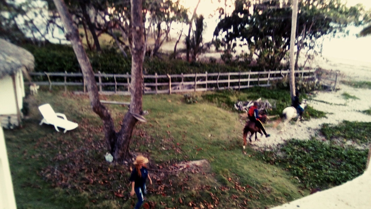 Photo of Outdoor in Las Canas