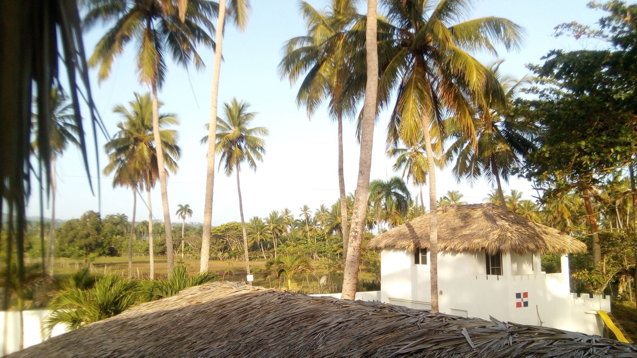 Photo of Others in Las Canas