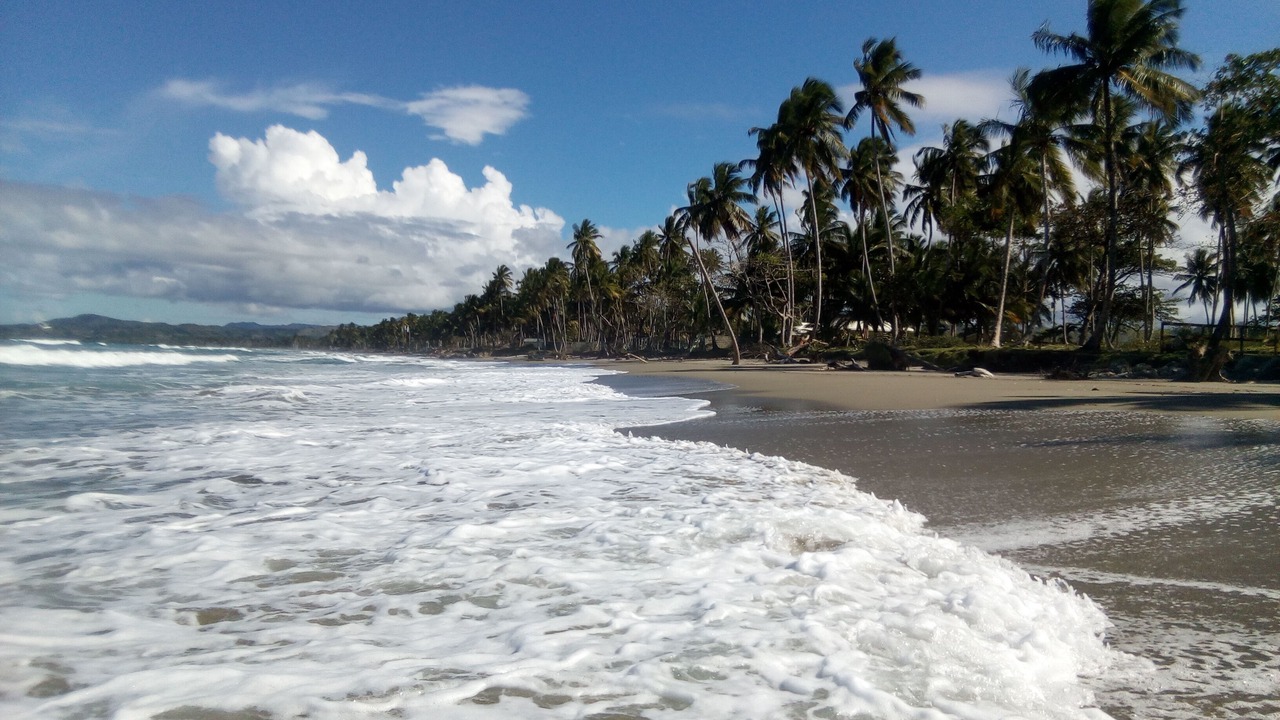 Photo of Others in Las Canas