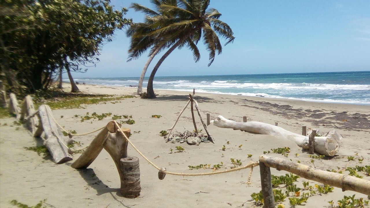 Photo of Others in Las Canas