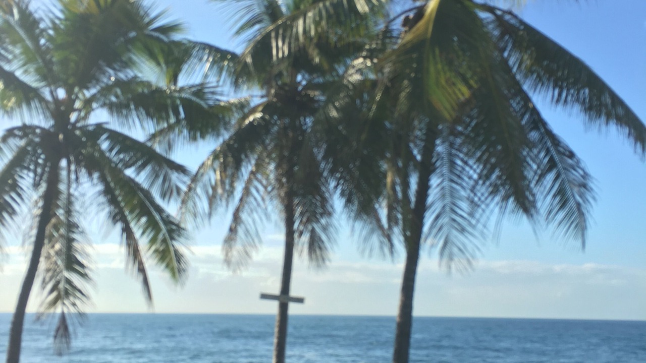 Photo of Outdoor in Santo Domingo