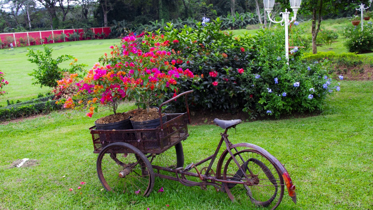Photo of Outdoor in Bonao