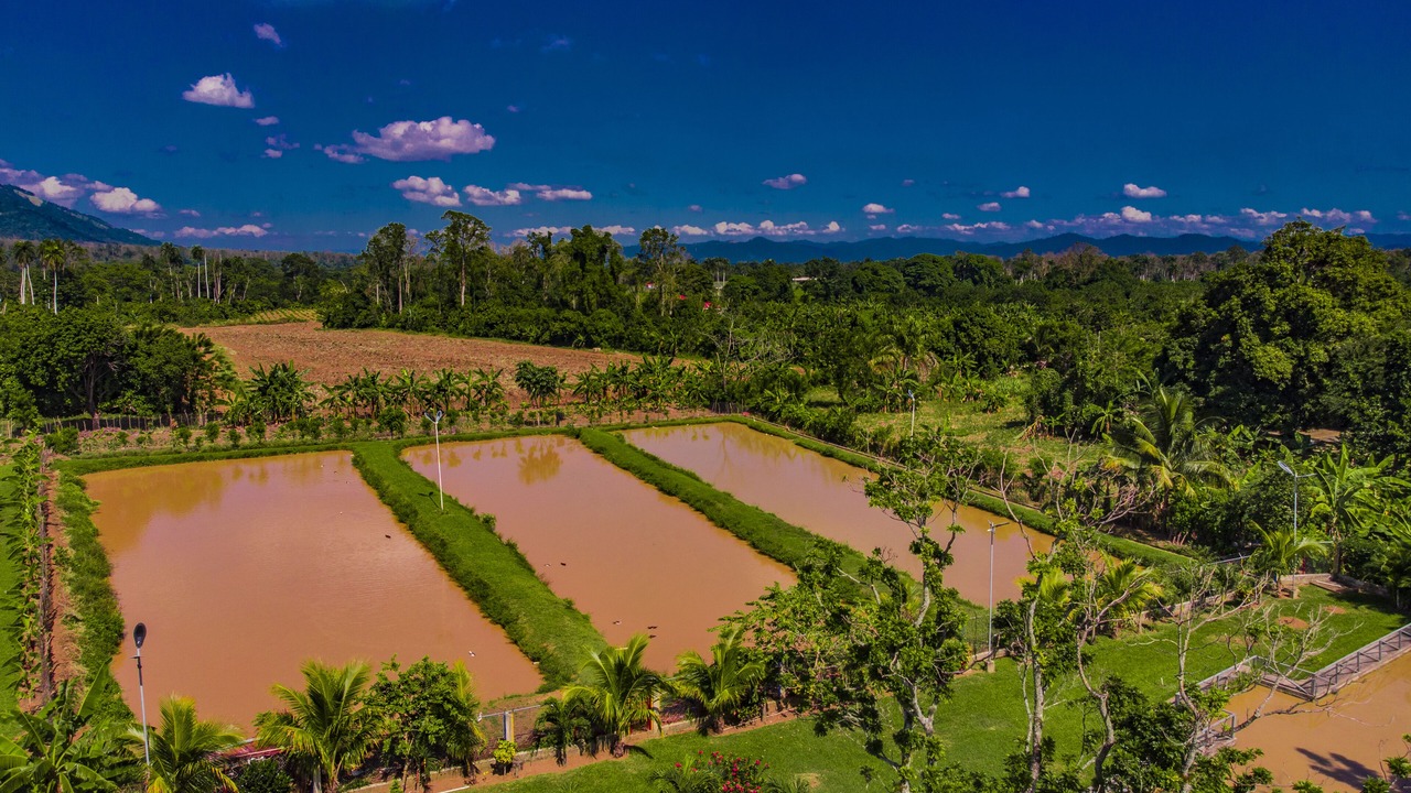 Photo of Outdoor in Bonao