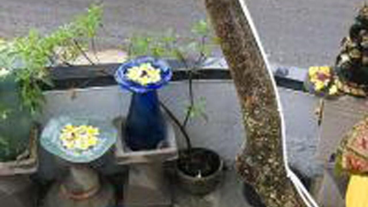 Photo of Outdoor in Pengosekan