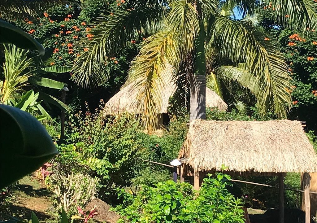 Photo of Others in Labasa