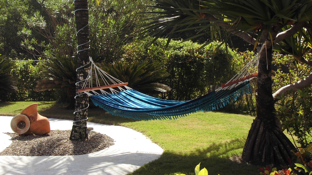 Photo of Outdoor in Cabarete