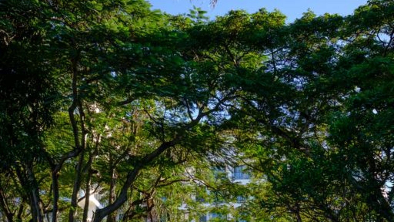 Photo of Outdoor in Martintar