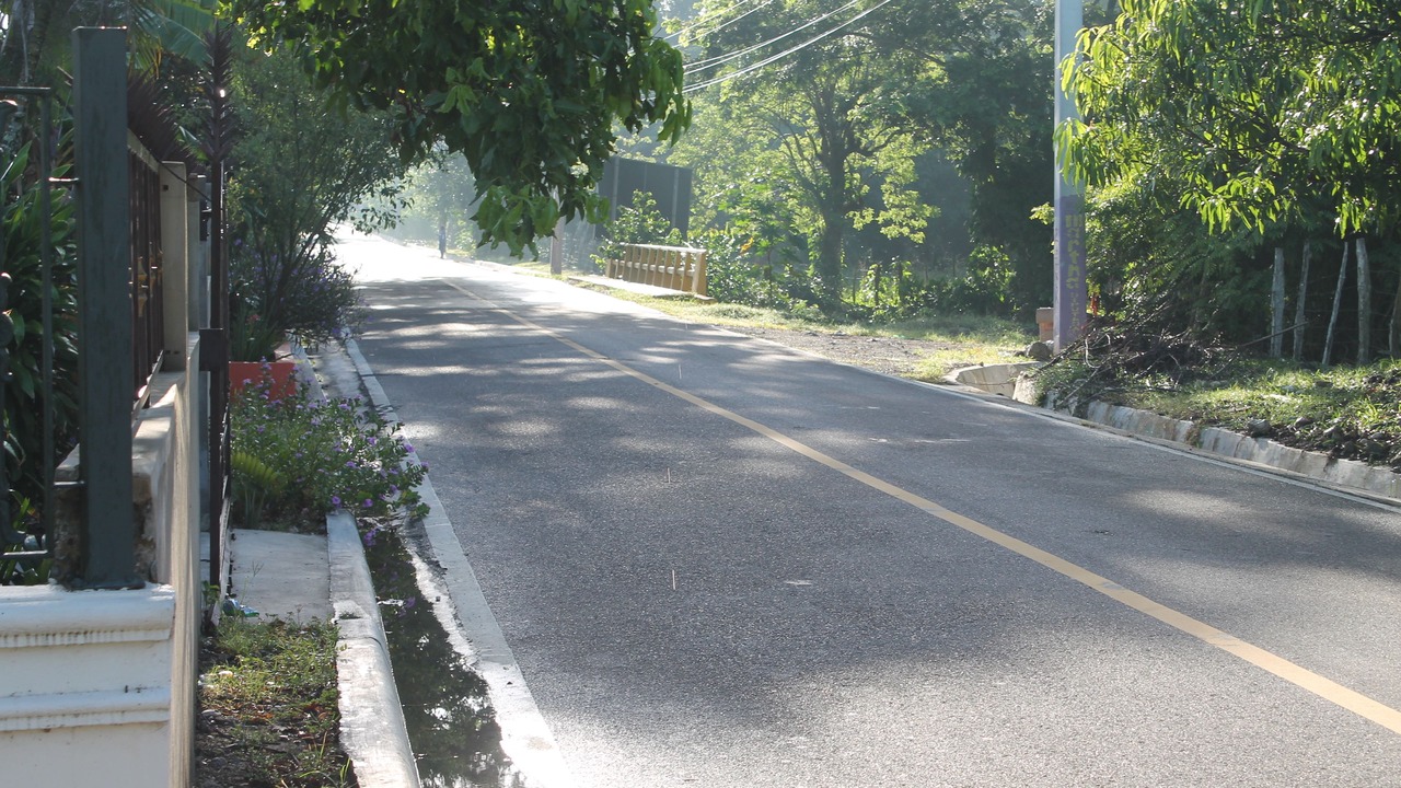 Photo of Others in Imbert