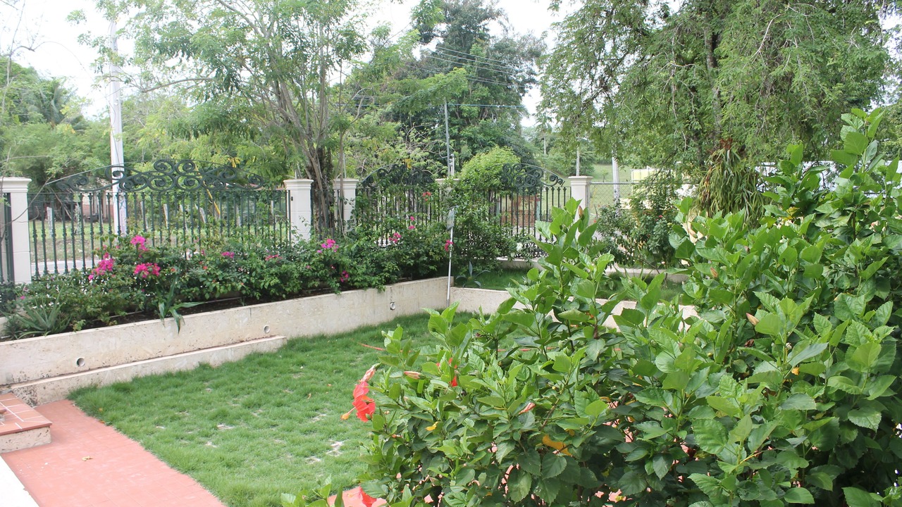 Photo of Outdoor in Imbert