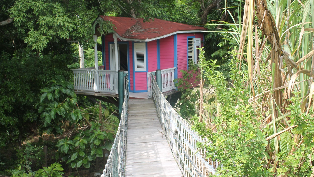 Photo of Outdoor in Imbert