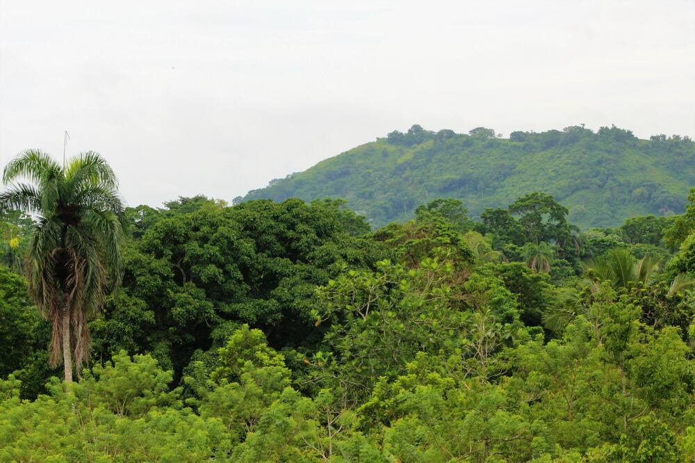 Photo of Outdoor in Hato Mayor del Rey