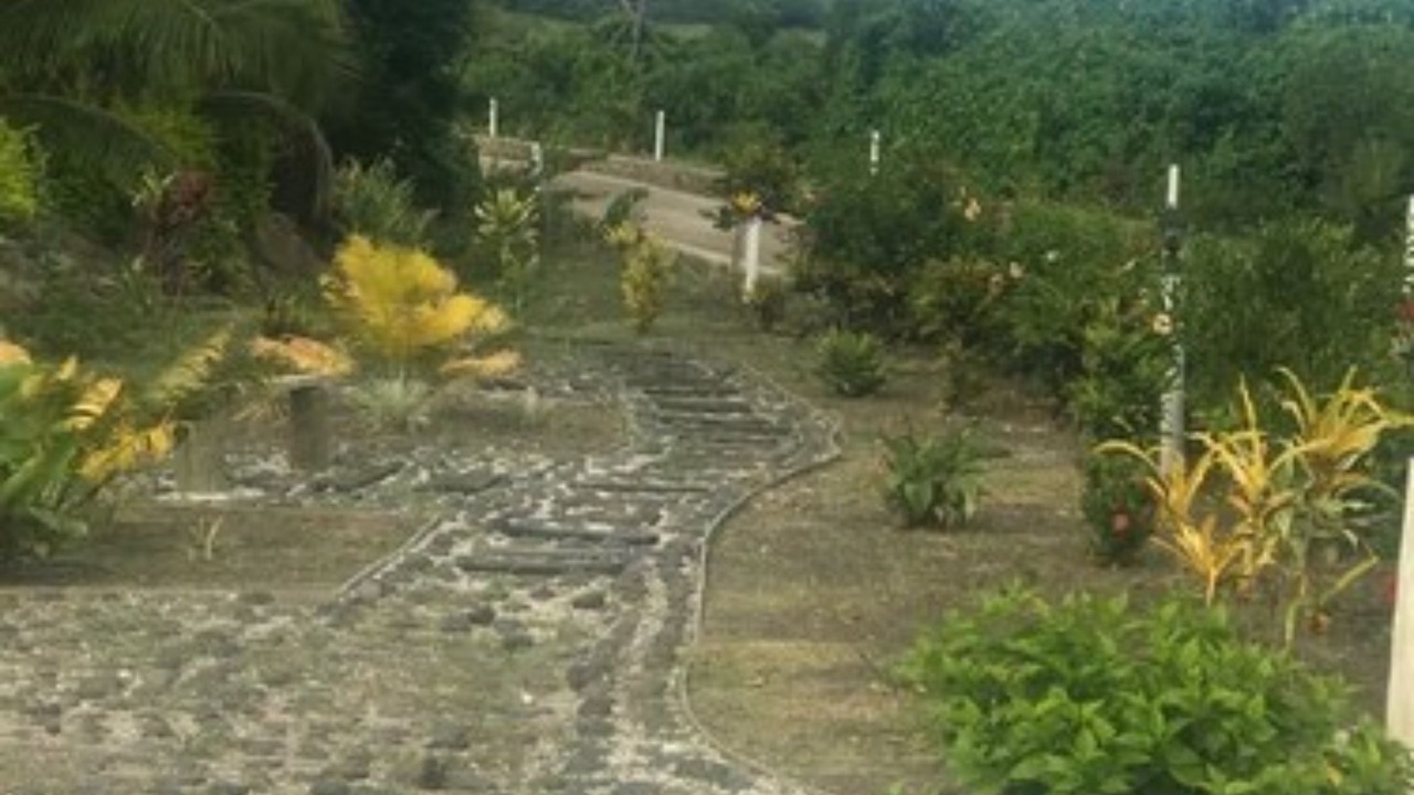 Photo of Outdoor in Volivoli