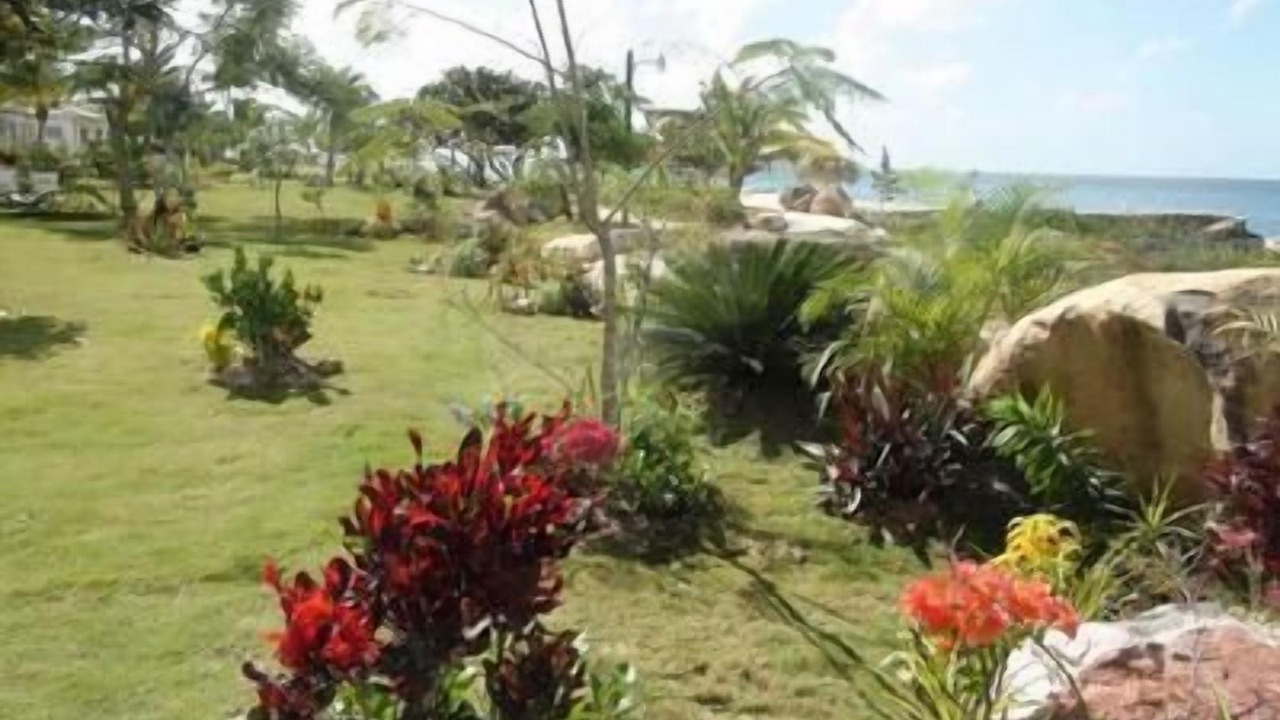 Photo of Outdoor in Dominicus