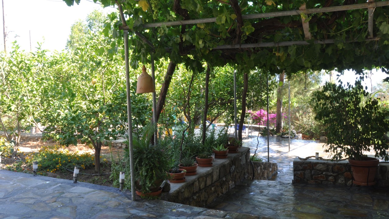 Photo of Outdoor in Pefkos