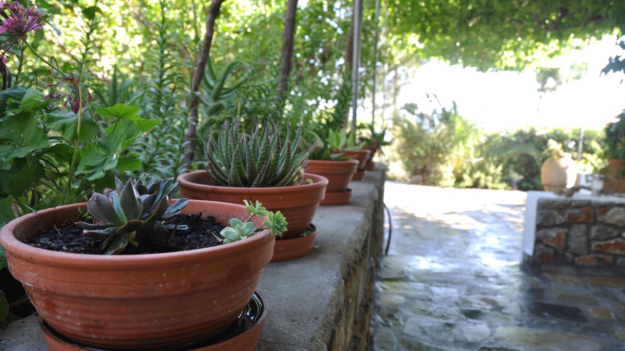 Photo of Outdoor in Pefkos