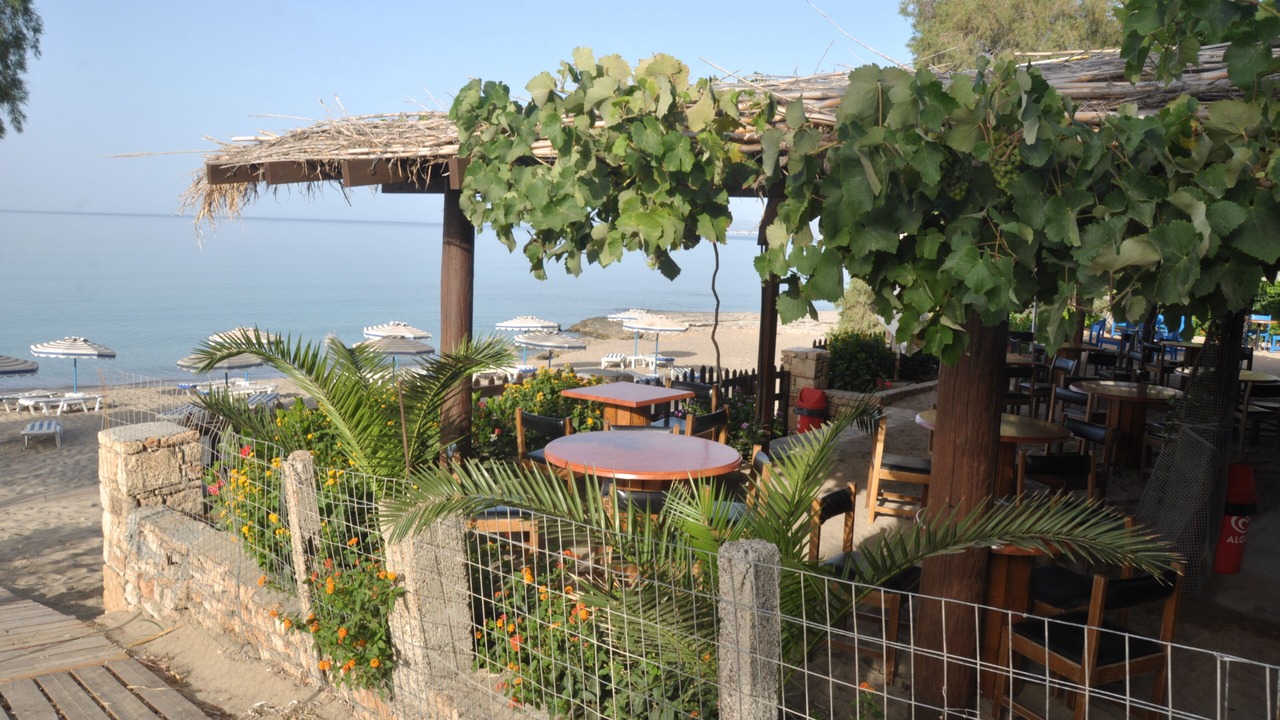 Photo of Outdoor in Pefkos