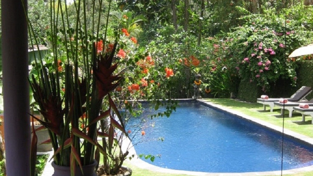 Photo of Outdoor in Cepaka