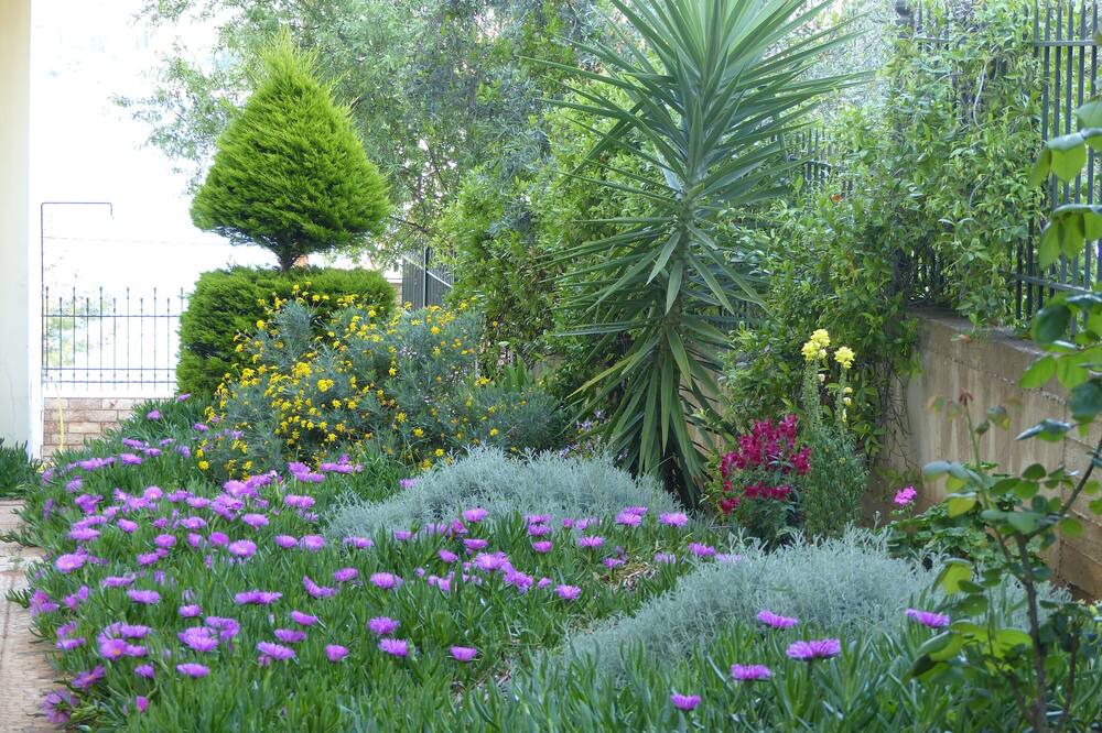 Photo of Outdoor in Theologos