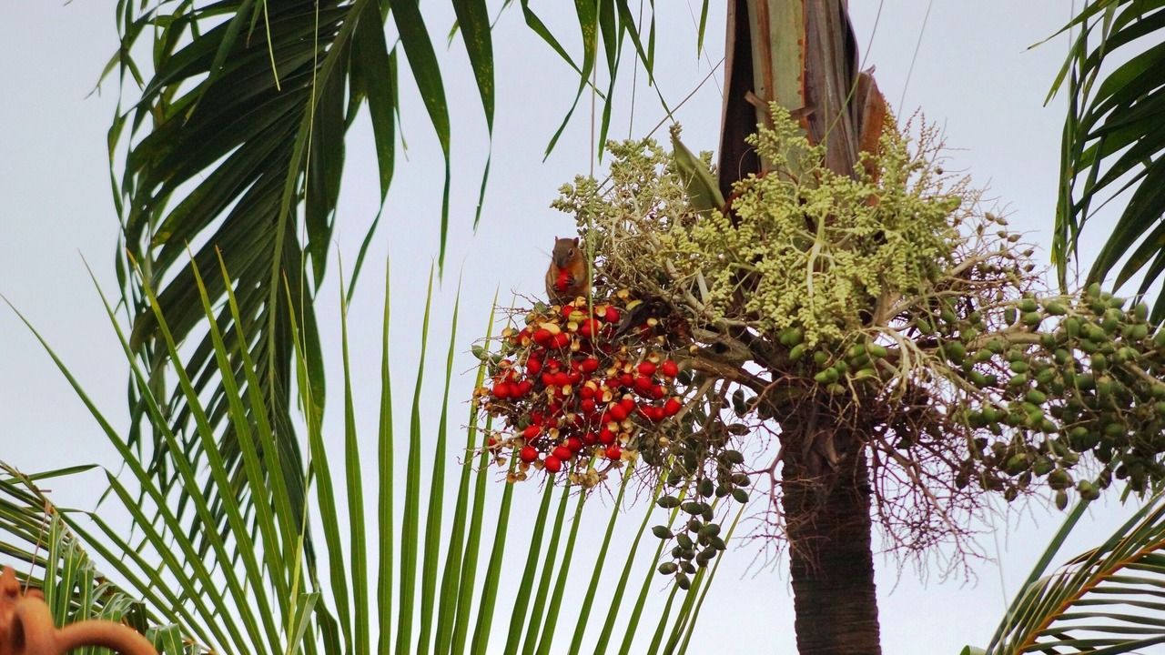 Photo of Outdoor in Sanur Kauh