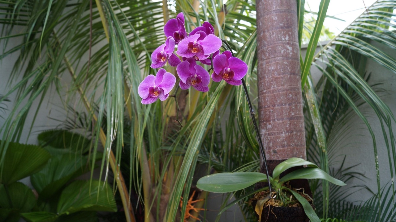 Photo of Outdoor in Sanur Kauh